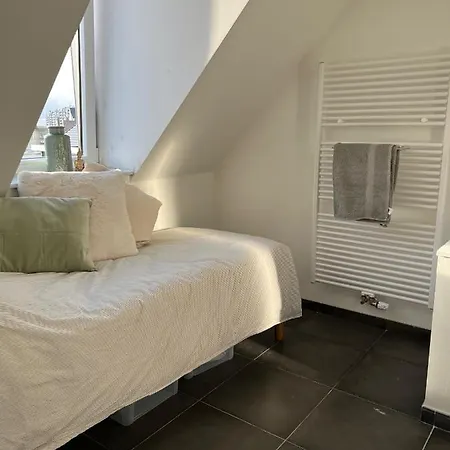 Appartamento Viki's Penthousje